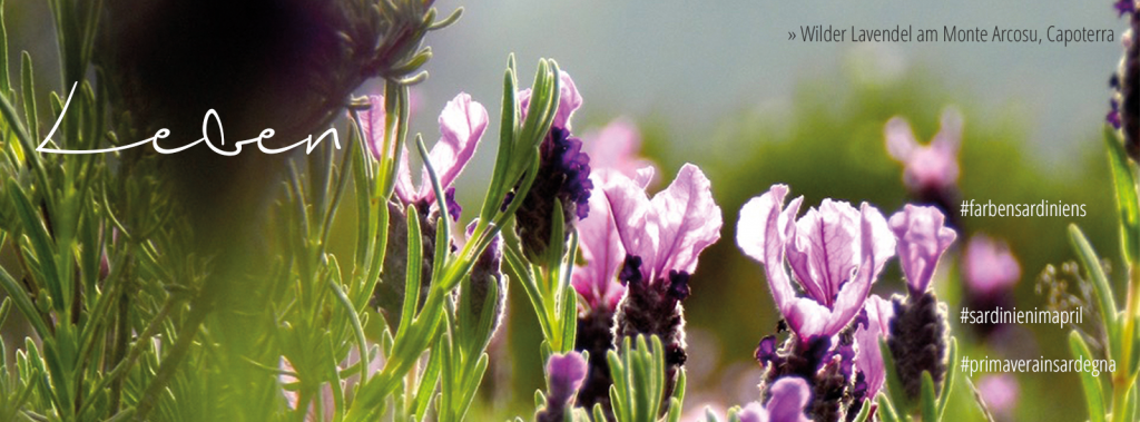 Leben im April