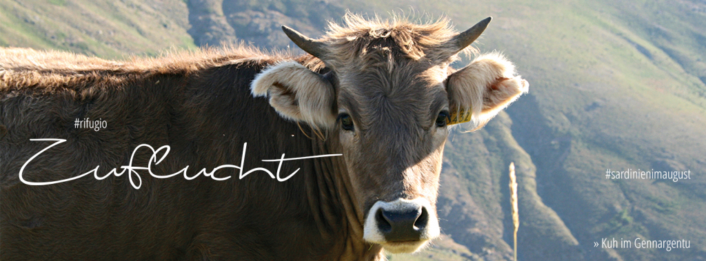 Sardinien im August: Flucht ins Hinterland