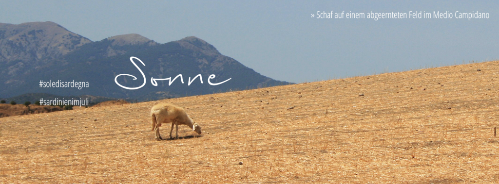 Sardinien im Juli: Sonne