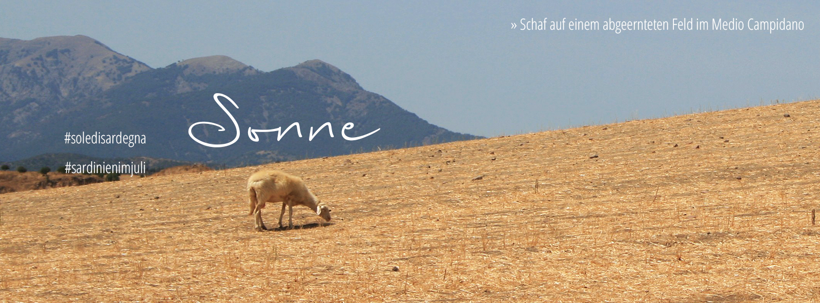 Sardinien im Juli: Sonne