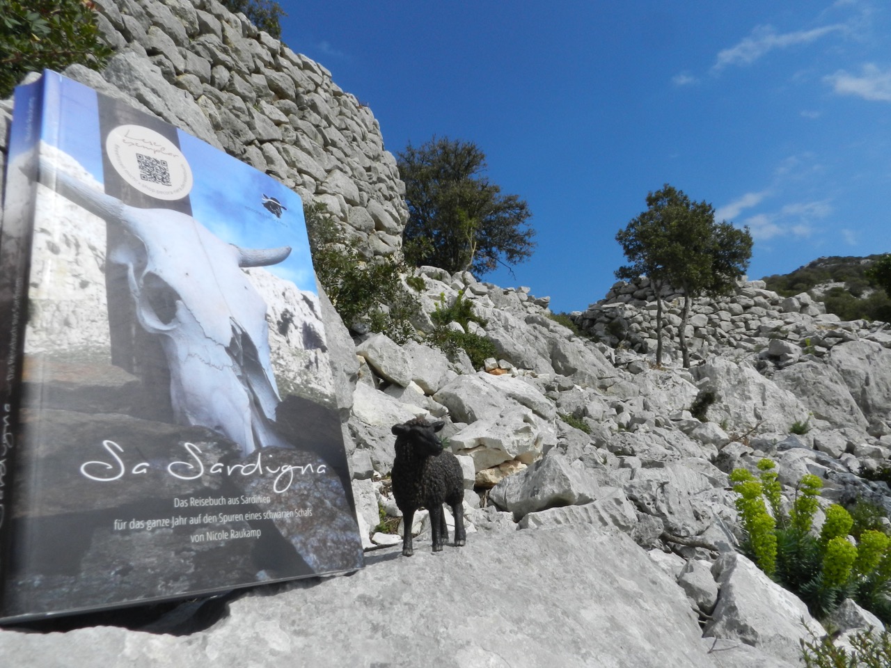 Alles in diesem Buch ist persönlich erlebt vom schwarzen Schaf